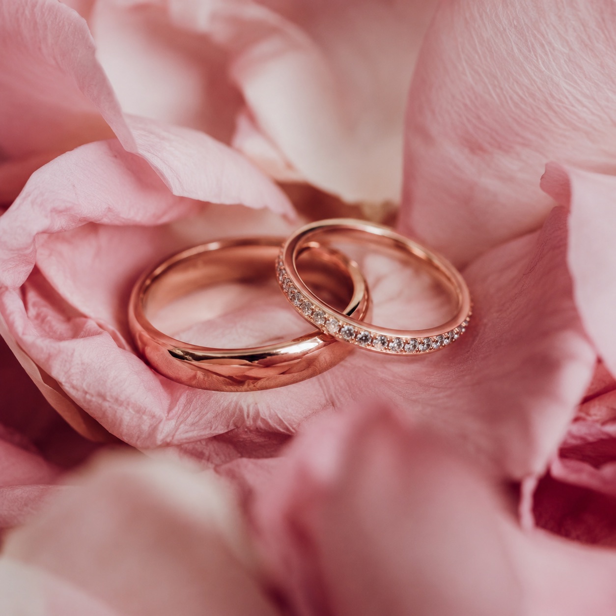 Roses and golden-hour details from our story
